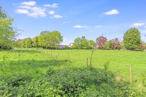 Photo 37- click for photo gallery